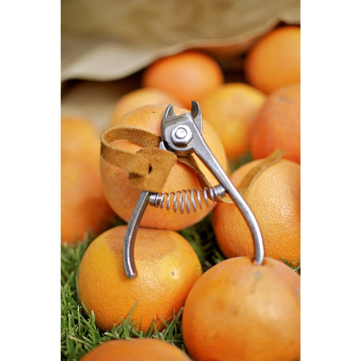 Corona AG 5050 Orange and Apple Anvil Shears