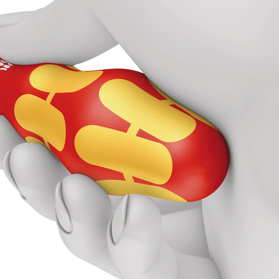 Wera 160 i/6 Rack Screwdriver set Kraftform Plus Series 100 + Rack, 6 pieces