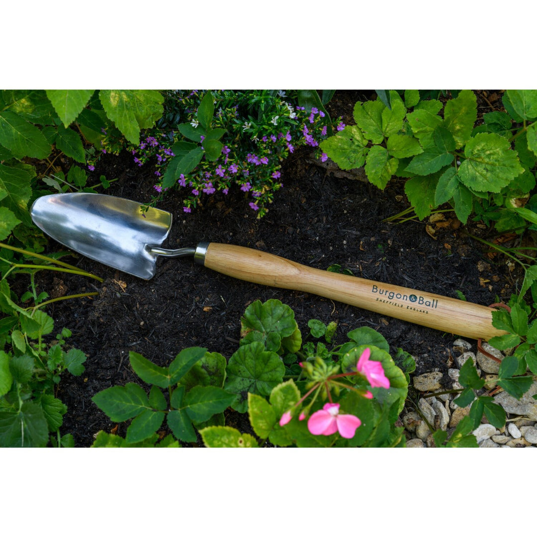 Corona GTH/SHTMHRHS Mid-Handled Stainless Steel Trowel, Wood Grip, RHS Endorsed
