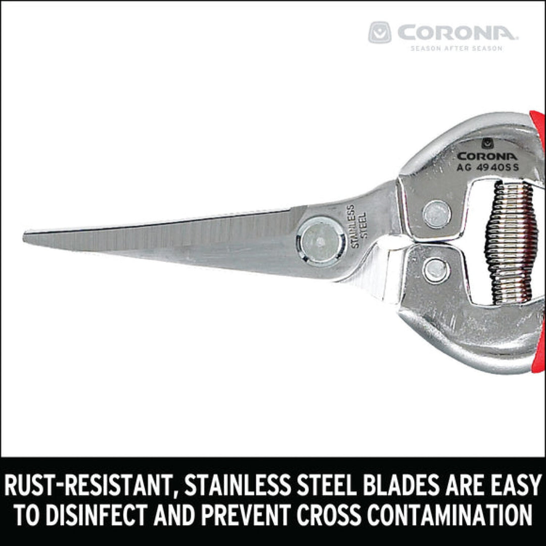 Corona AG 4940SS  Long Curved Snips - Stainless Steel, 1¾ Inch