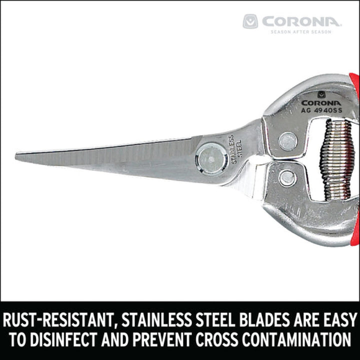 Corona AG 4940SS  Long Curved Snips - Stainless Steel, 1¾ Inch