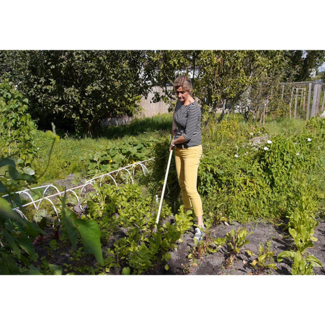 Corona-GTC/SLICE · Burgon & Ball® FSC Wood Weed Slice