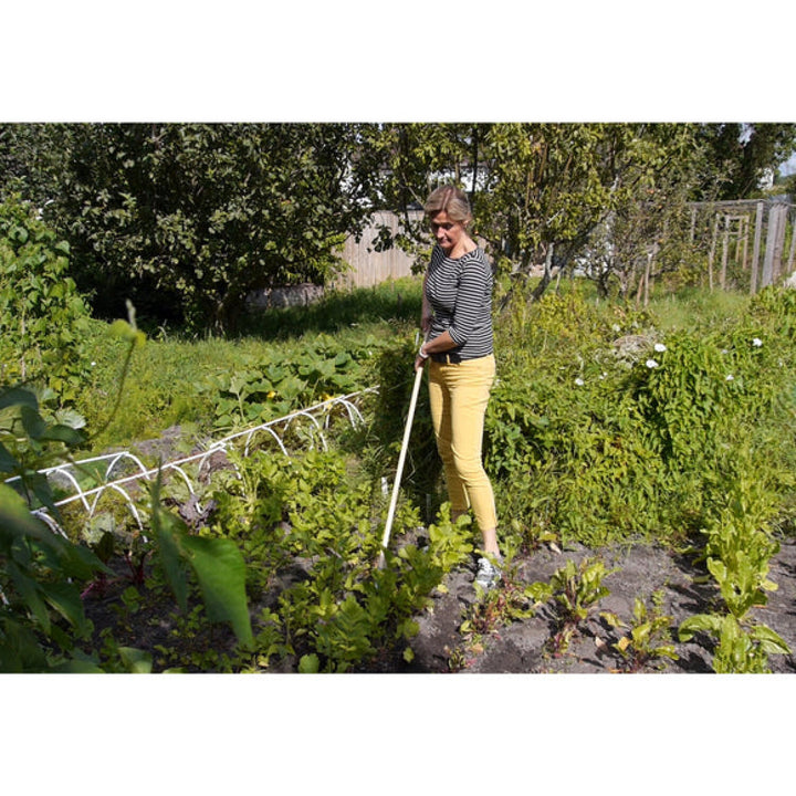 Corona-GTC/SLICE · Burgon & Ball® FSC Wood Weed Slice
