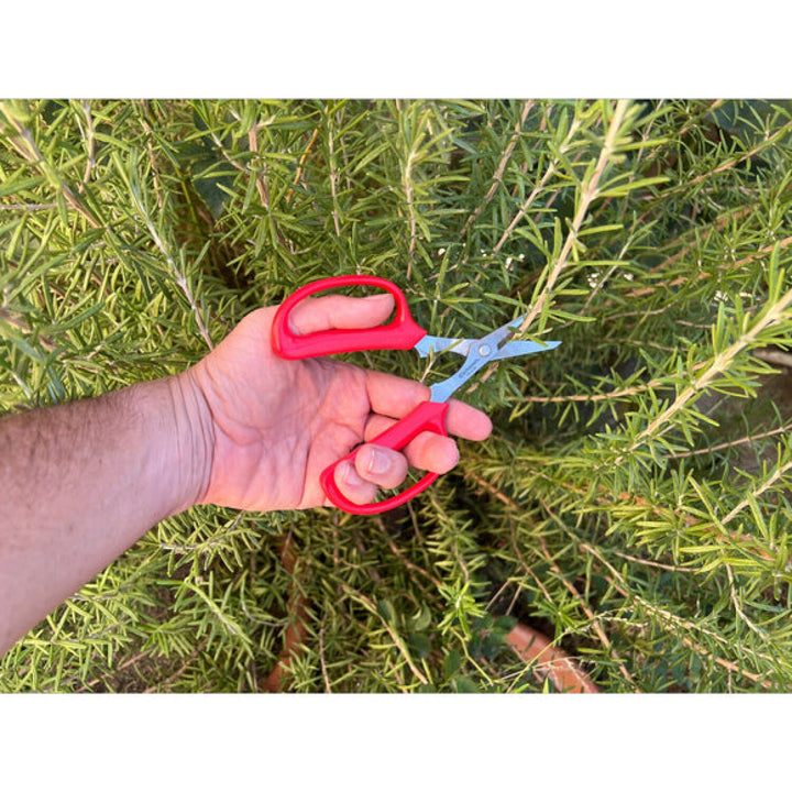Corona FS 4130  Hydroponic Scissors