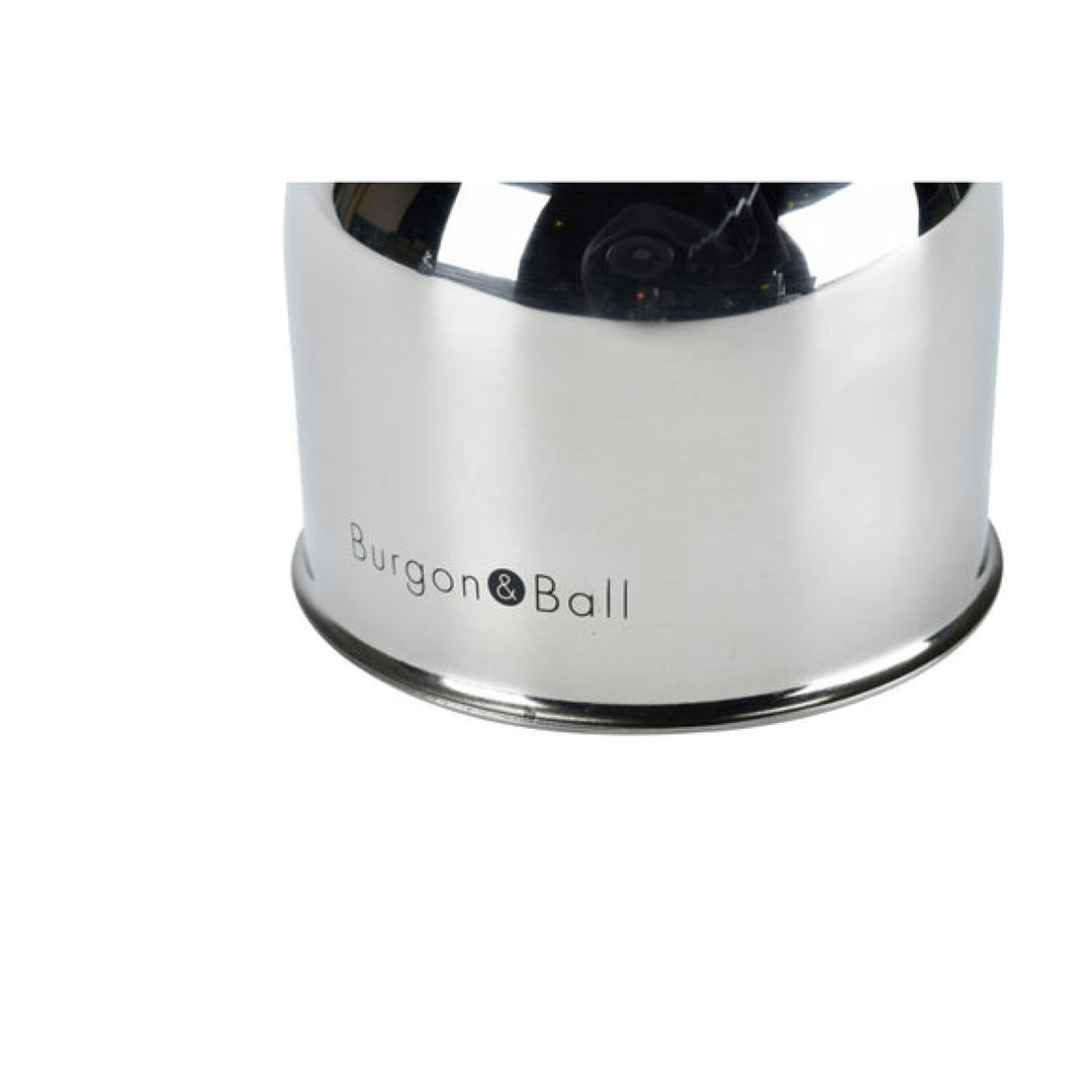 Corona  GEN/MISTSS  Burgon & Ball® Indoor Plant Mister - Stainless Steel