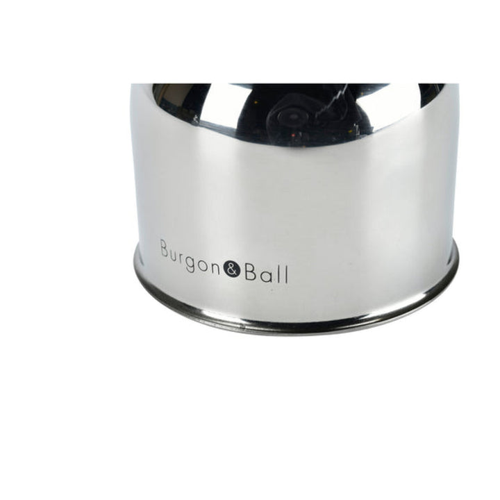 Corona  GEN/MISTSS  Burgon & Ball® Indoor Plant Mister - Stainless Steel