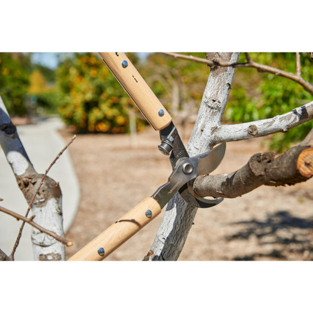 CORONA-WL 6420 · ClassicCUT® Bypass Lopper - 26 Inch