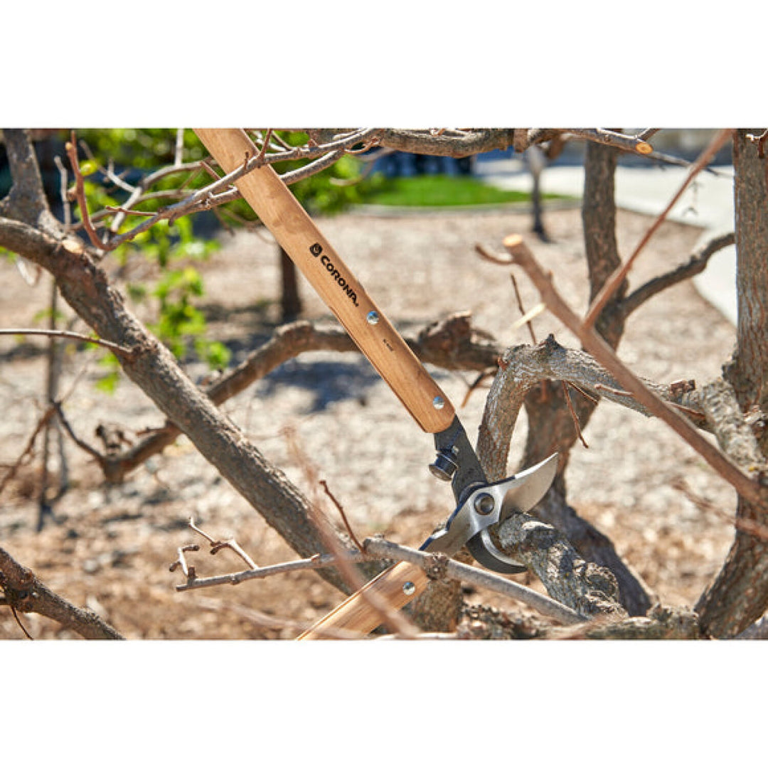 Corona-WL 6450 · ClassicCUT® Bypass Lopper - 32 Inch
