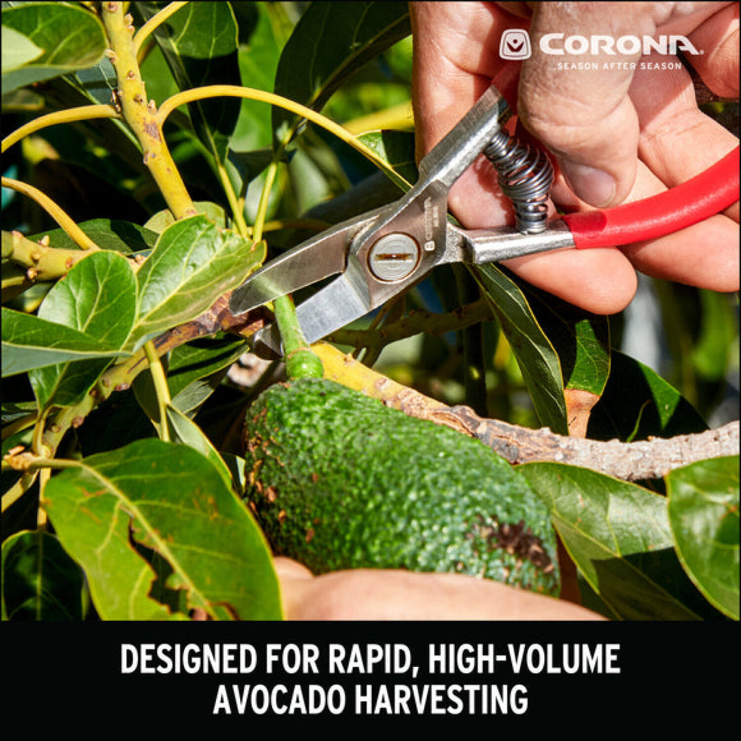 Corona AG 5040  Avocado Shears