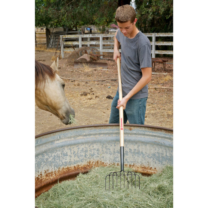 Shovels FK 42010 Manure Fork - 10 Tine