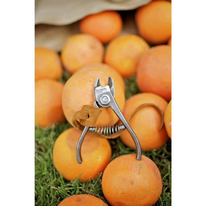 Corona AG 5050 Orange and Apple Anvil Shears