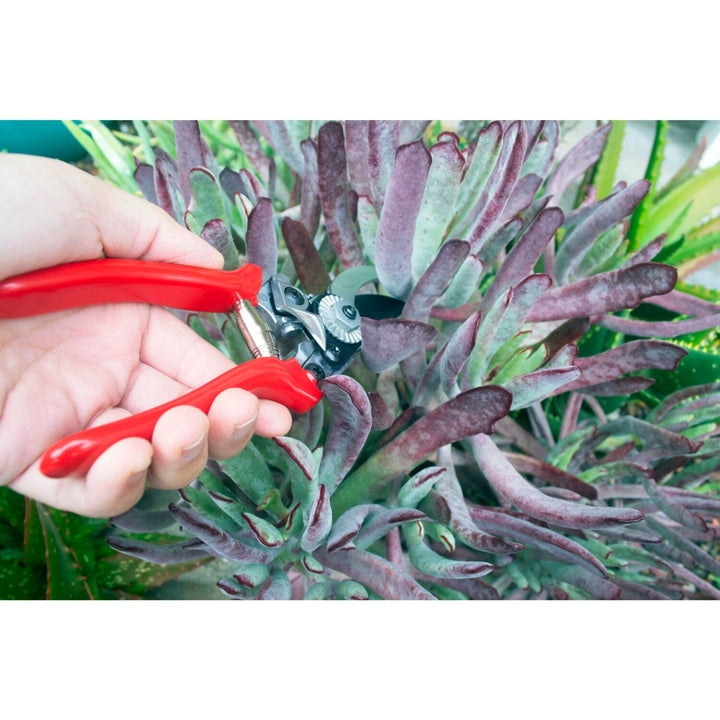 Corona BP13630 Yard Essentials Pocket Pruner