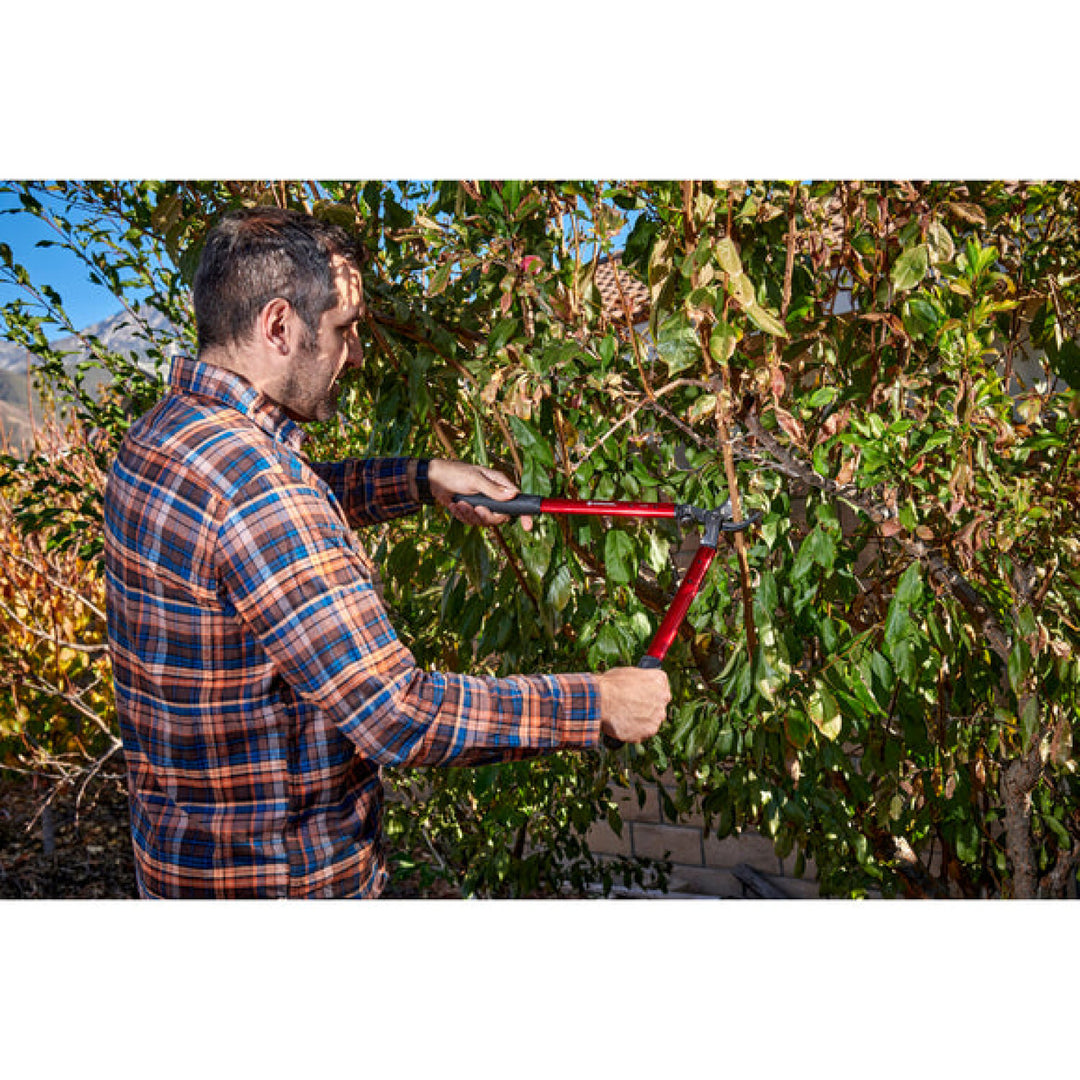 Corona AL 8350  ClassicCUT® Bypass Lopper - 20 Inch