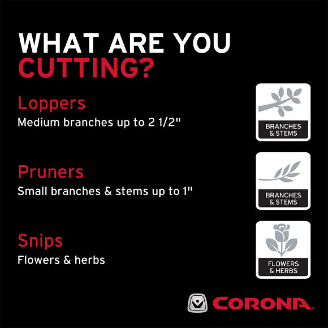 Corona AG 4940SS  Long Curved Snips - Stainless Steel, 1¾ Inch