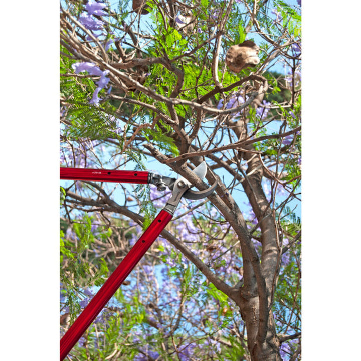 Corona AL15149  ClassicCUT® Bypass Lopper - 36 Inch
