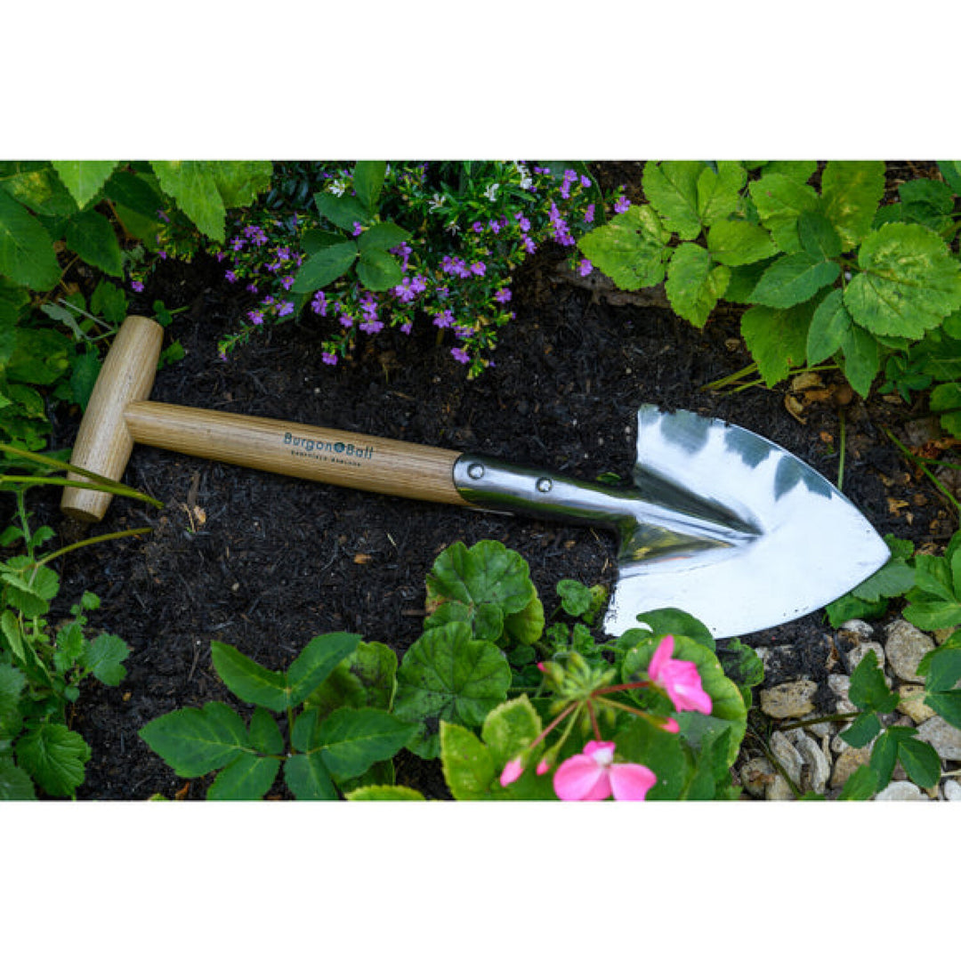 Corona GTB/SPSRHSSML  RHS® Stainless FSC Wood Mid Handled Perennial Spade Small