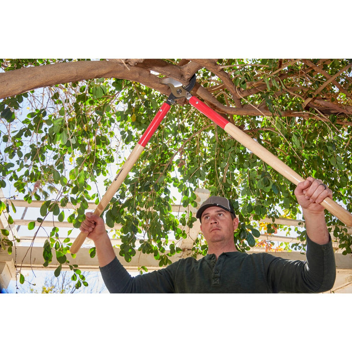 Corona WL 6490 SuperDUTY Bypass Lopper, 37 in. Hickory Handles, 3 in. Cut Capacity