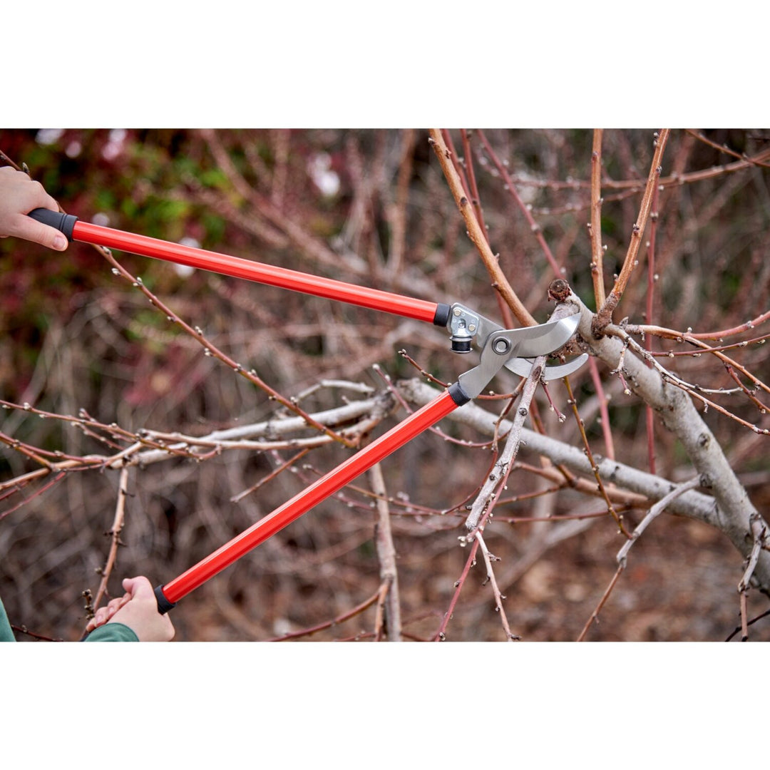 Corona SL 3310 Bypass Lopper, 25 in., 1-1/2 in. Cut Capacity