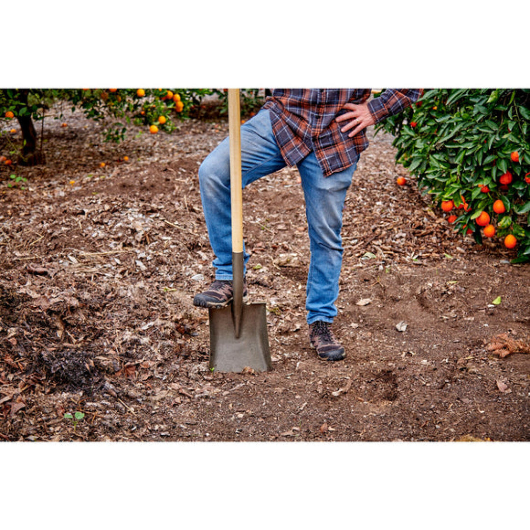 Corona SS 11000  #2 Square Point Shovel - Light Duty