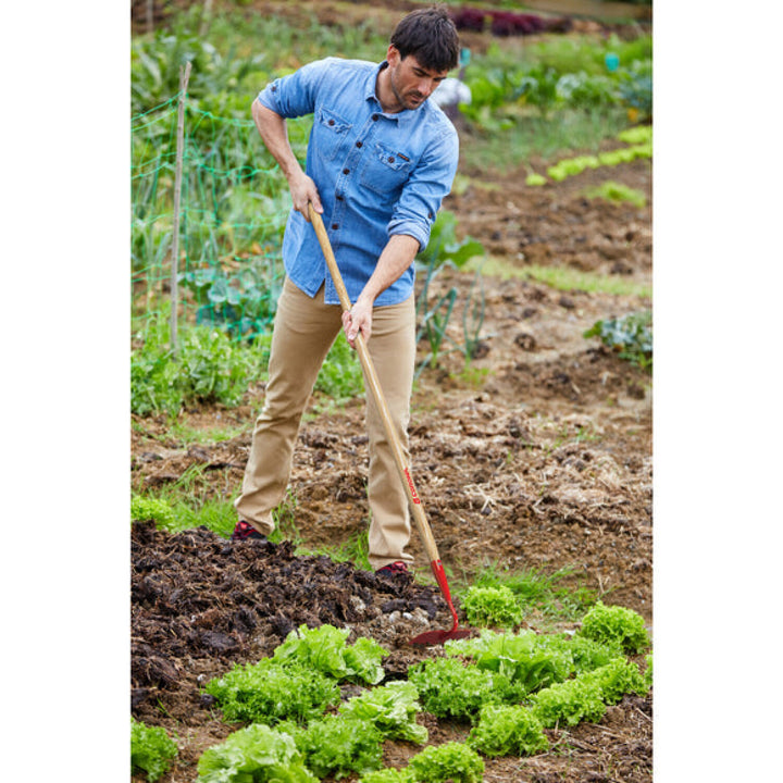CRNA-SH 20000 · Garden Hoe - 6 Inch