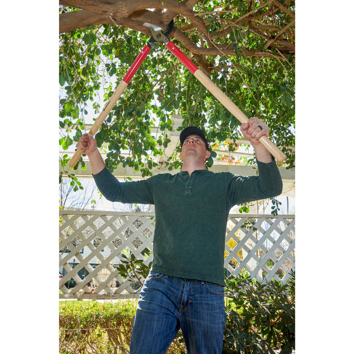 Corona WL 6490 SuperDUTY Bypass Lopper, 37 in. Hickory Handles, 3 in. Cut Capacity