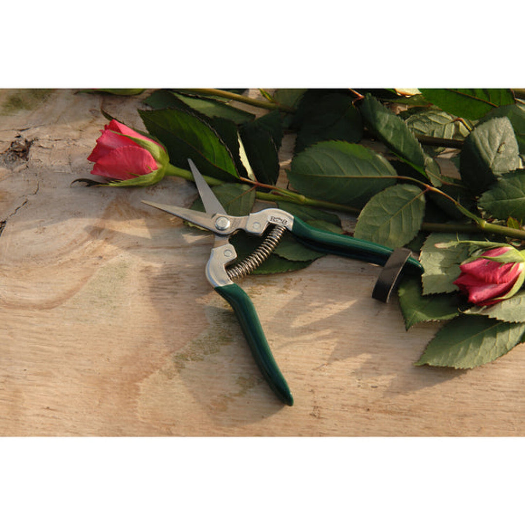 Corona GTO/FFS  RHS® Flower & Fruit Snip