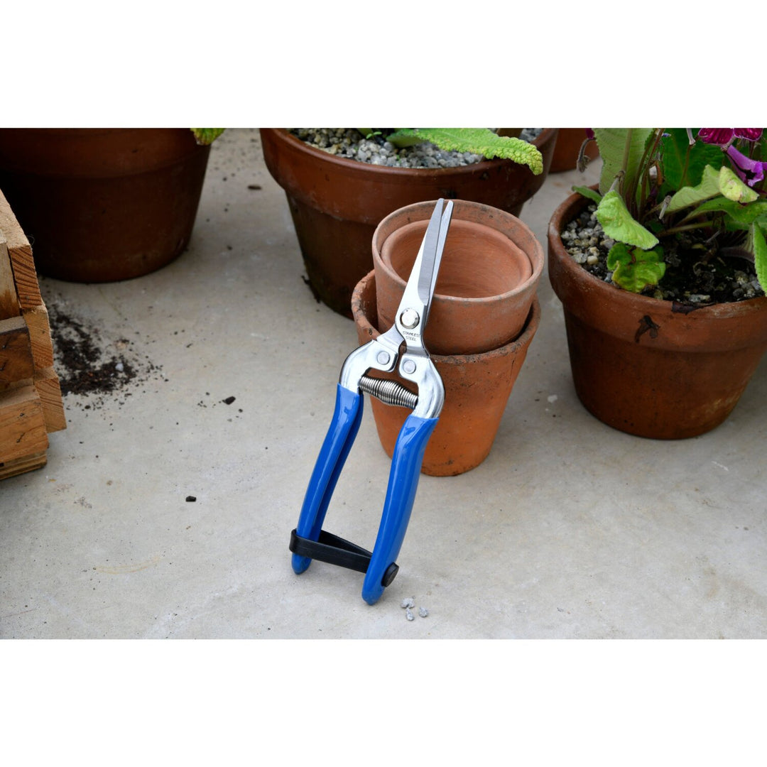 Corona GRH/SNIPBM British Meadow Fruit & Flower Snips, RHS Endorsed