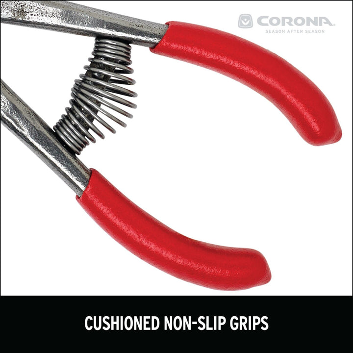 Corona AG 5060 Orange and Apple Bypass Shears