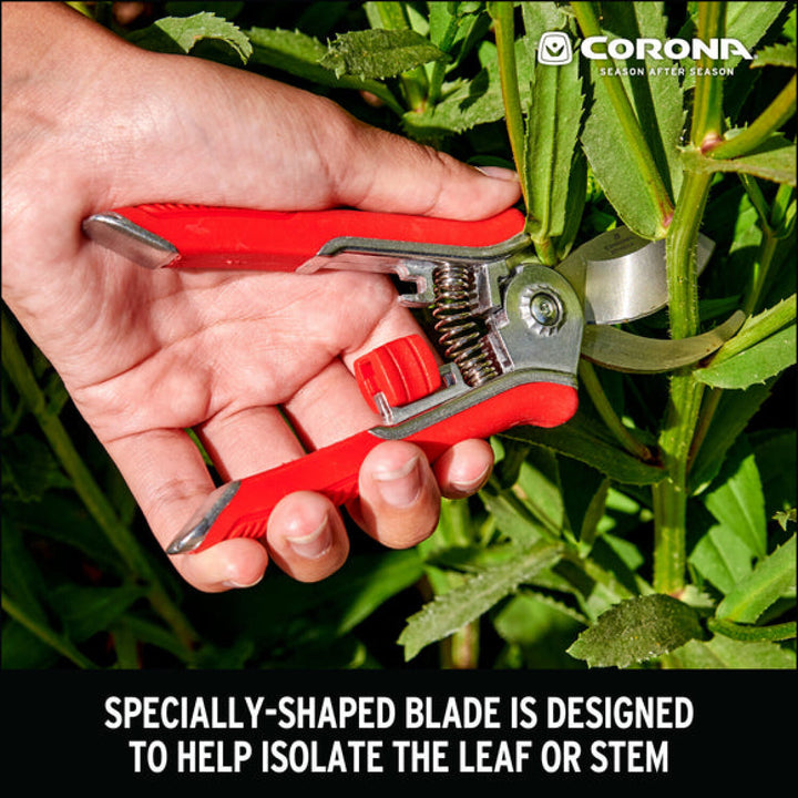 CRNA-BP13624 · Mini House Plant Pruner