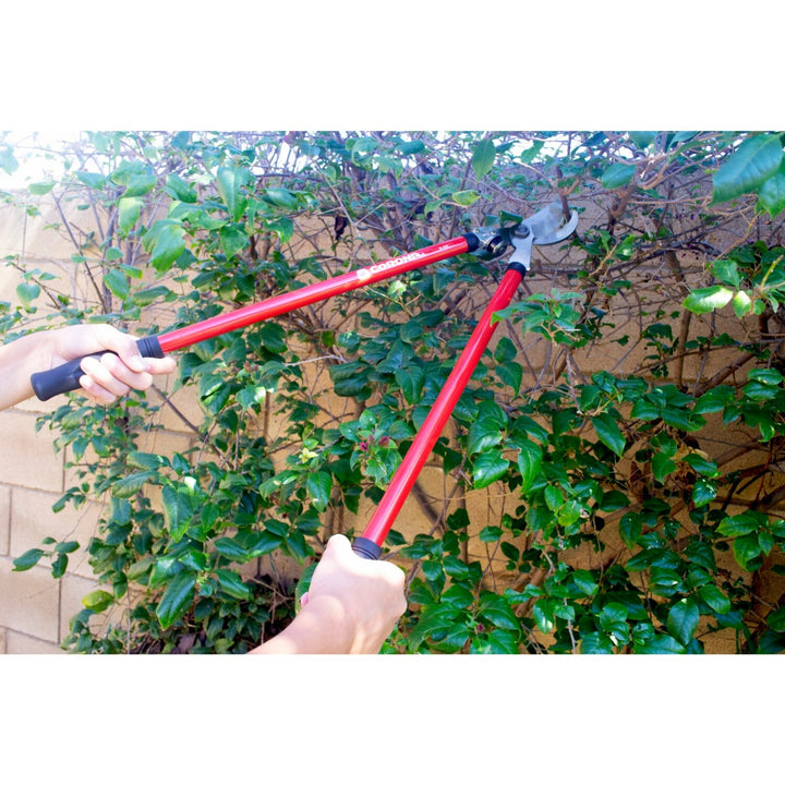 Corona SL 3310 Bypass Lopper, 25 in., 1-1/2 in. Cut Capacity