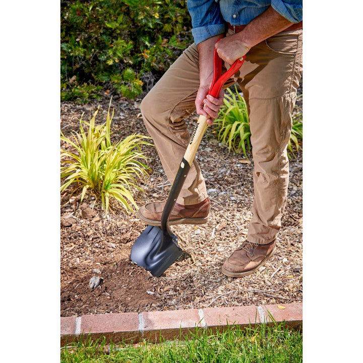 Corona SS16101 Boron Steel 14-Gauge Round Point Shovel, D Grip Hardwood Handle