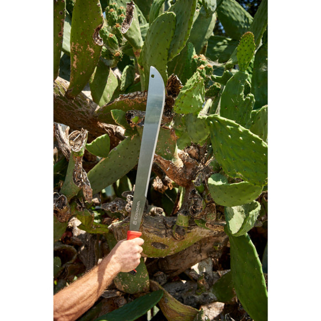 CRNA-MA 60062 · Machete - 22 Inch