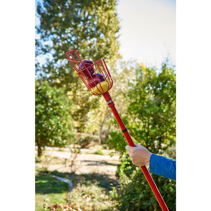 Corona FP 2312 Extendable Fruit Picker, 12 ft.