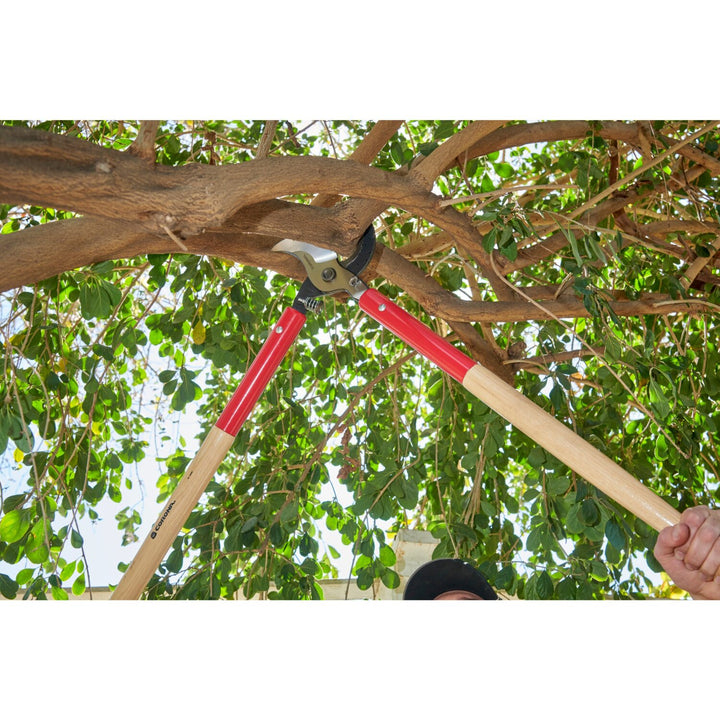 Corona WL 6490 SuperDUTY Bypass Lopper, 37 in. Hickory Handles, 3 in. Cut Capacity