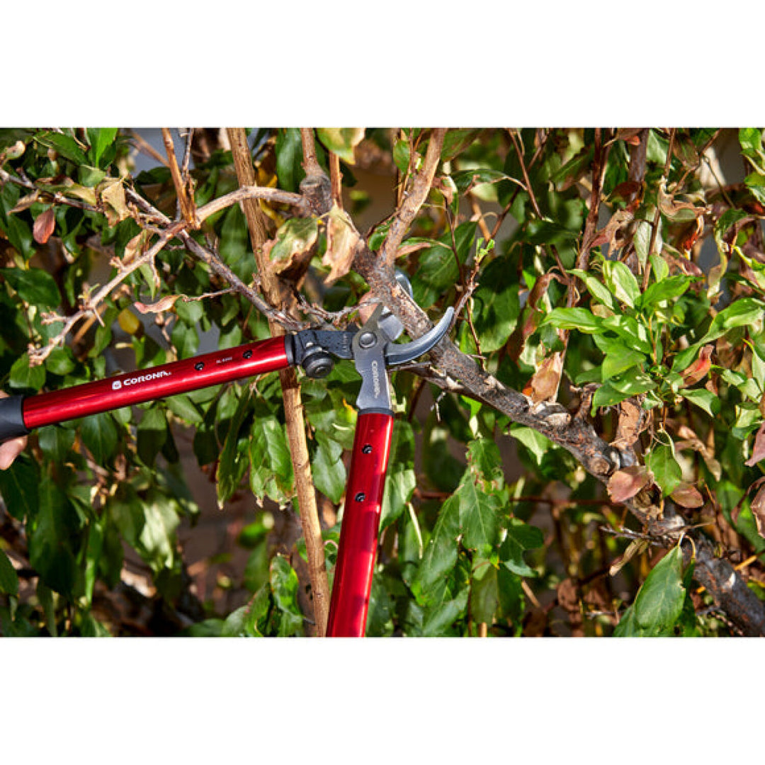 Corona AL 8350  ClassicCUT® Bypass Lopper - 20 Inch