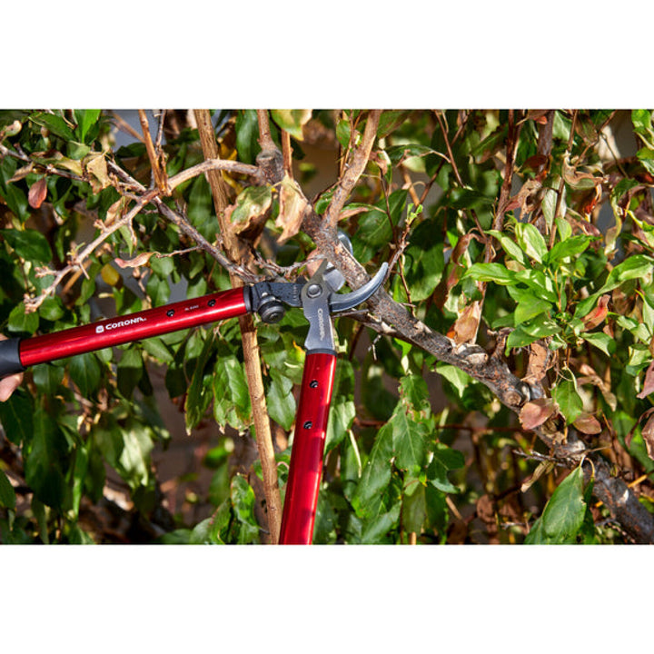Corona AL 8350  ClassicCUT® Bypass Lopper - 20 Inch