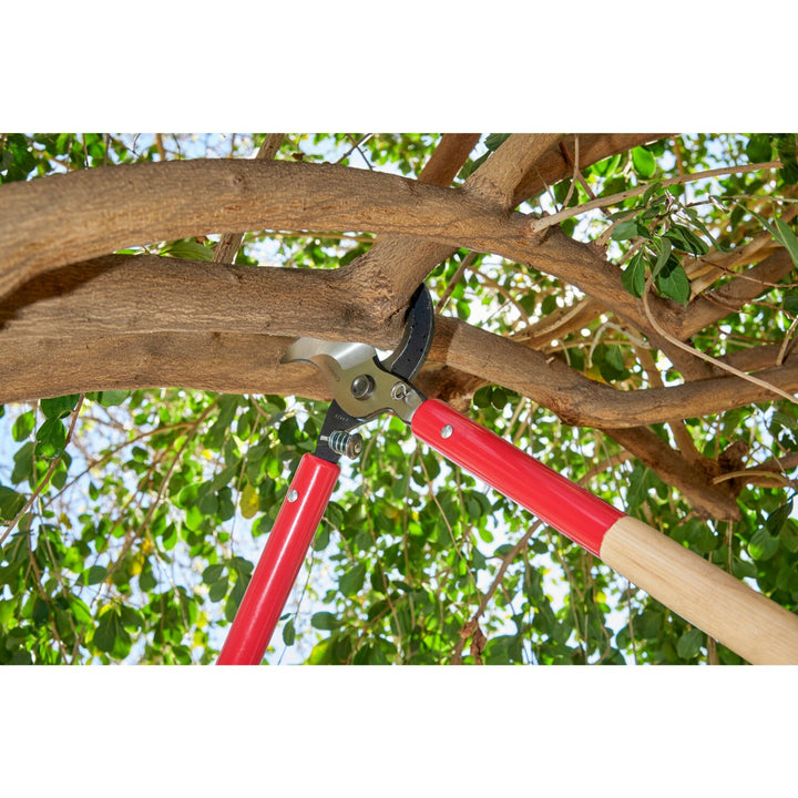 Corona WL 6490 SuperDUTY Bypass Lopper, 37 in. Hickory Handles, 3 in. Cut Capacity