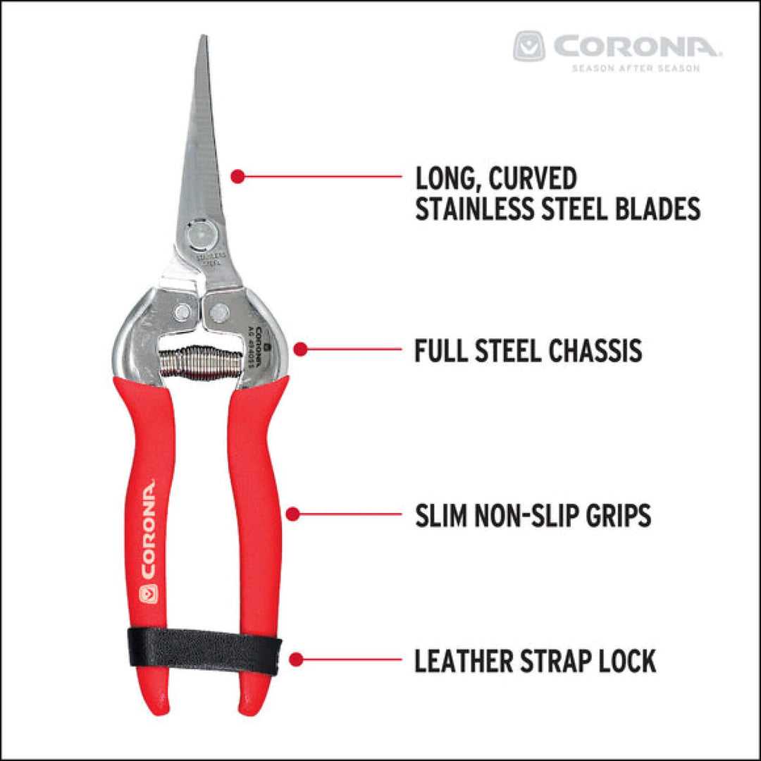Corona AG 4940SS  Long Curved Snips - Stainless Steel, 1¾ Inch