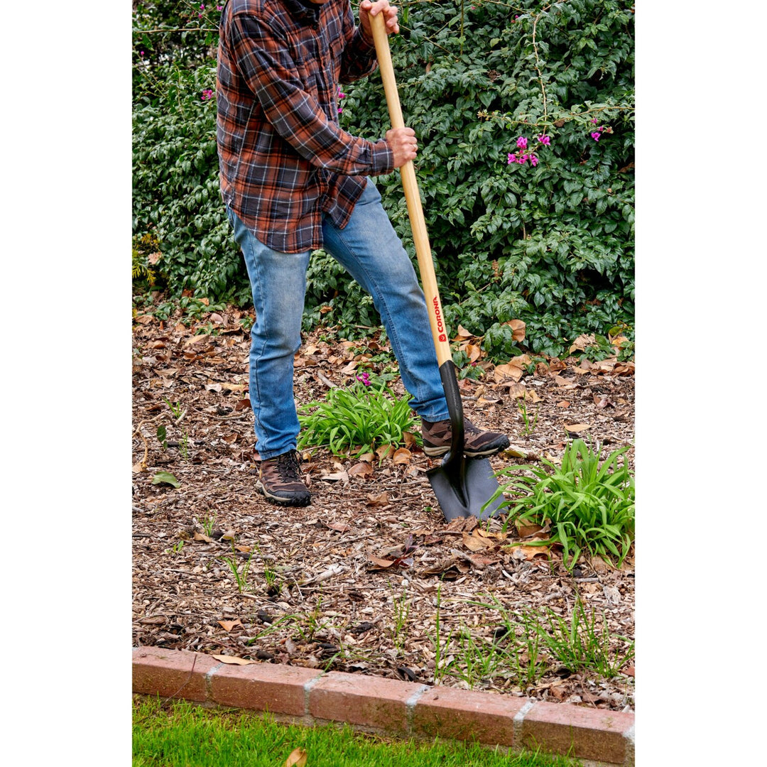 Corona SS 60000 Closed-Back, Round Point Shovel, 14-Gauge, 12 in. Head, 48 in. Wood Handle