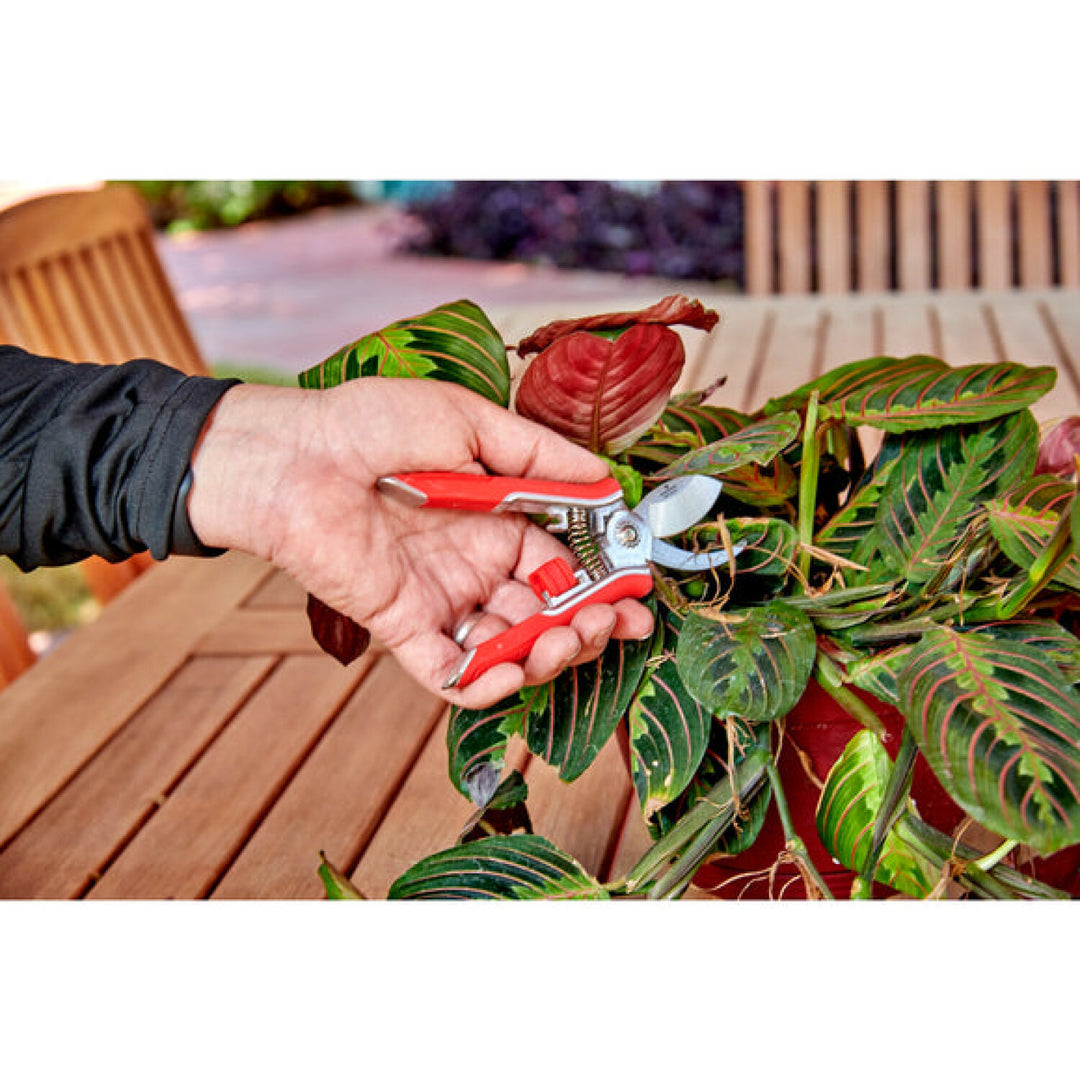 CRNA-BP13624 · Mini House Plant Pruner