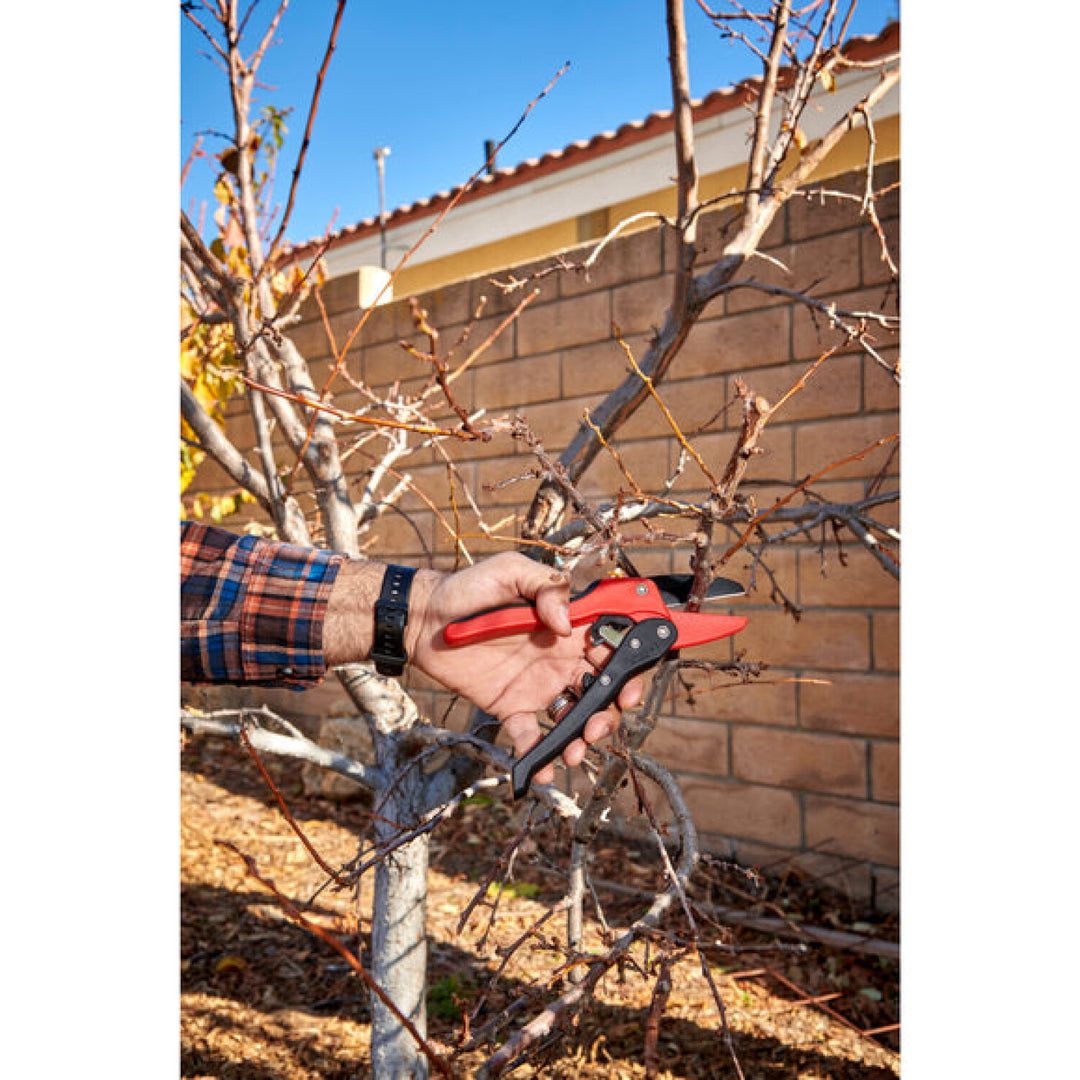 CRNA-RP 3230 · Ratchet Pruner - 3/4 Inch