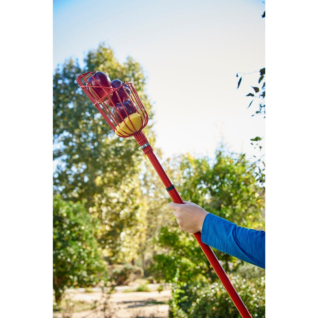 Corona FP 2312 Extendable Fruit Picker, 12 ft.