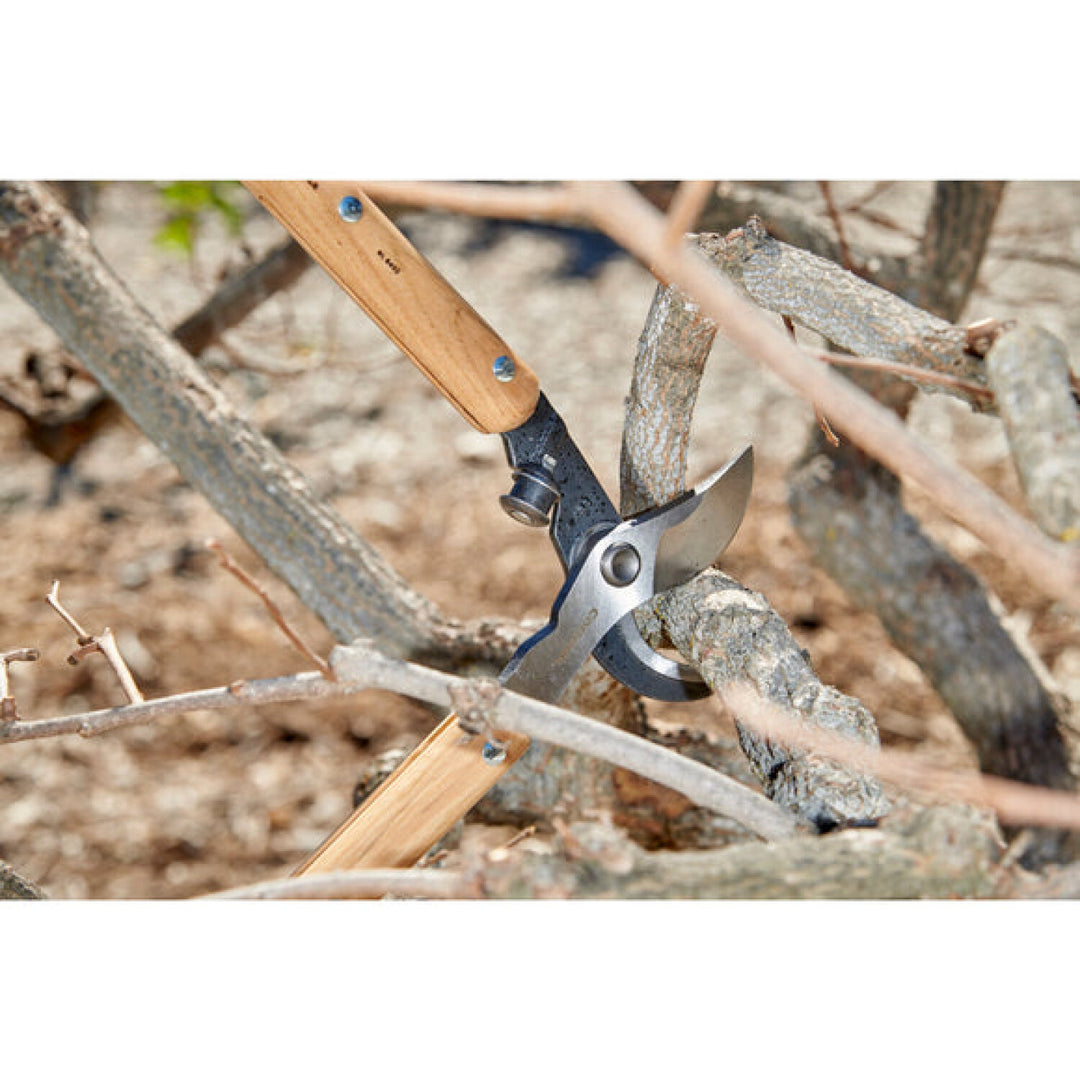 Corona-WL 6450 · ClassicCUT® Bypass Lopper - 32 Inch