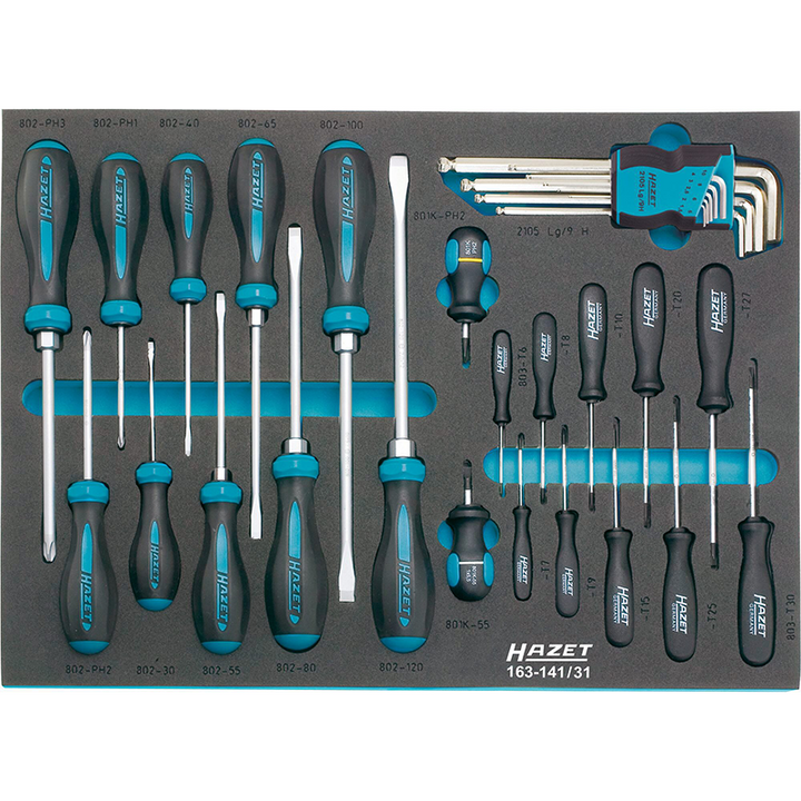Hazet 163-141/31 Screwdriver Set, 31 Pieces