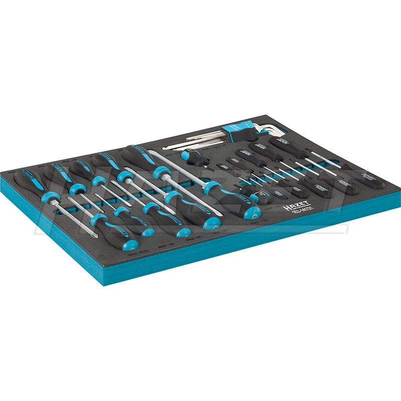Hazet 163-141/31 Screwdriver Set, 31 Pieces