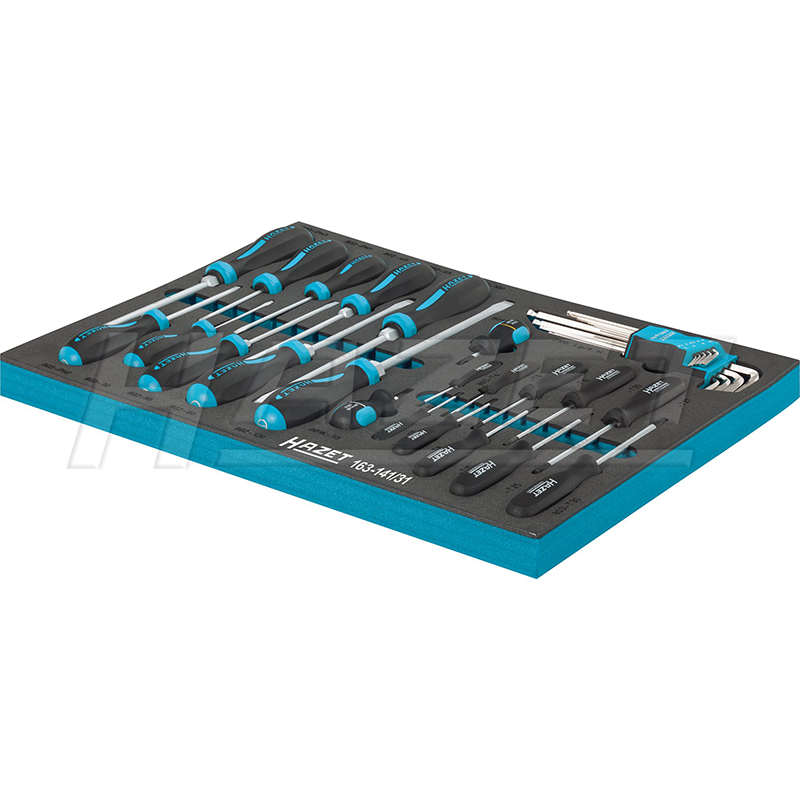 Hazet 163-141/31 Screwdriver Set, 31 Pieces