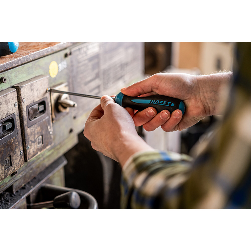 Hazet 163-184/6 HEXAnamic Screwdriver Set, 6 Pieces