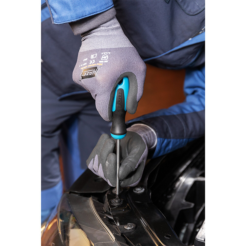 Hazet 163-266/6 TORX® Screwdriver Set, 6 Pieces