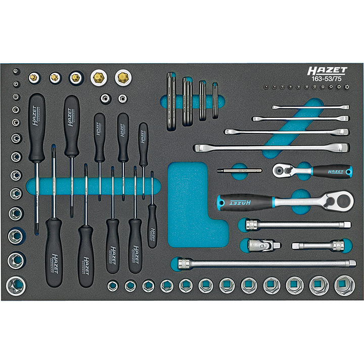 Hazet 163-53/75 Socket Set ∙ TORX® Double Box-End Wrenches ∙ Sockets, etc. 75 Pieces