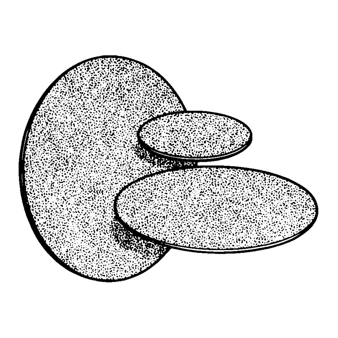 3M Wetordry Paper Disc 431Q, 240 C-weight, 8 in x NH, Die 800L,
100/Carton